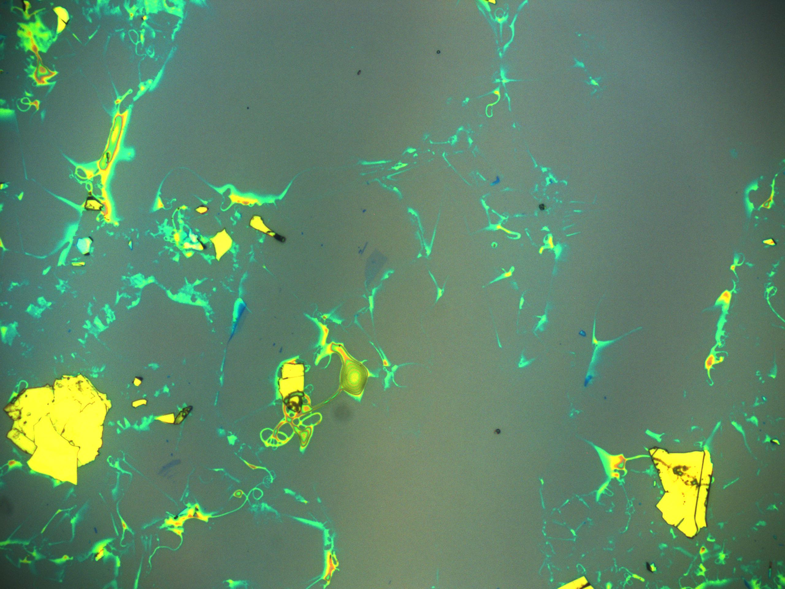Exfoliated graphene detection Object Detection Dataset and PreTrained
