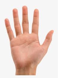 Hand Gestures Game Object Detection Dataset and Pre-Trained Model by ...
