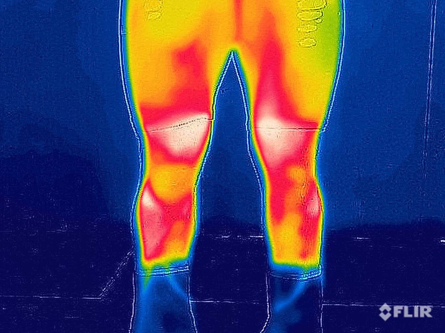 Thermal Imaging Semantic Segmentation Dataset by Ranga Madusanka