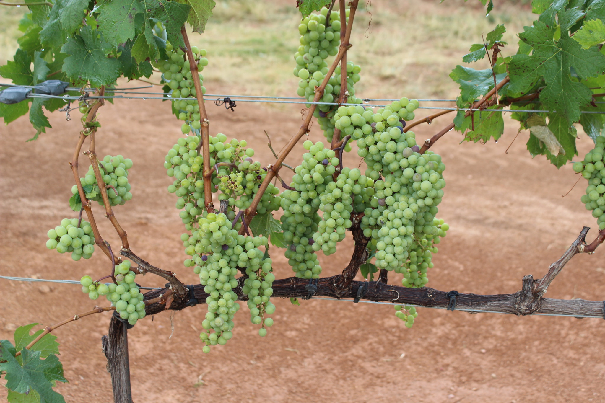 personal (personal-fuqfm) - Roboflow Universe