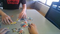 Dataset Image