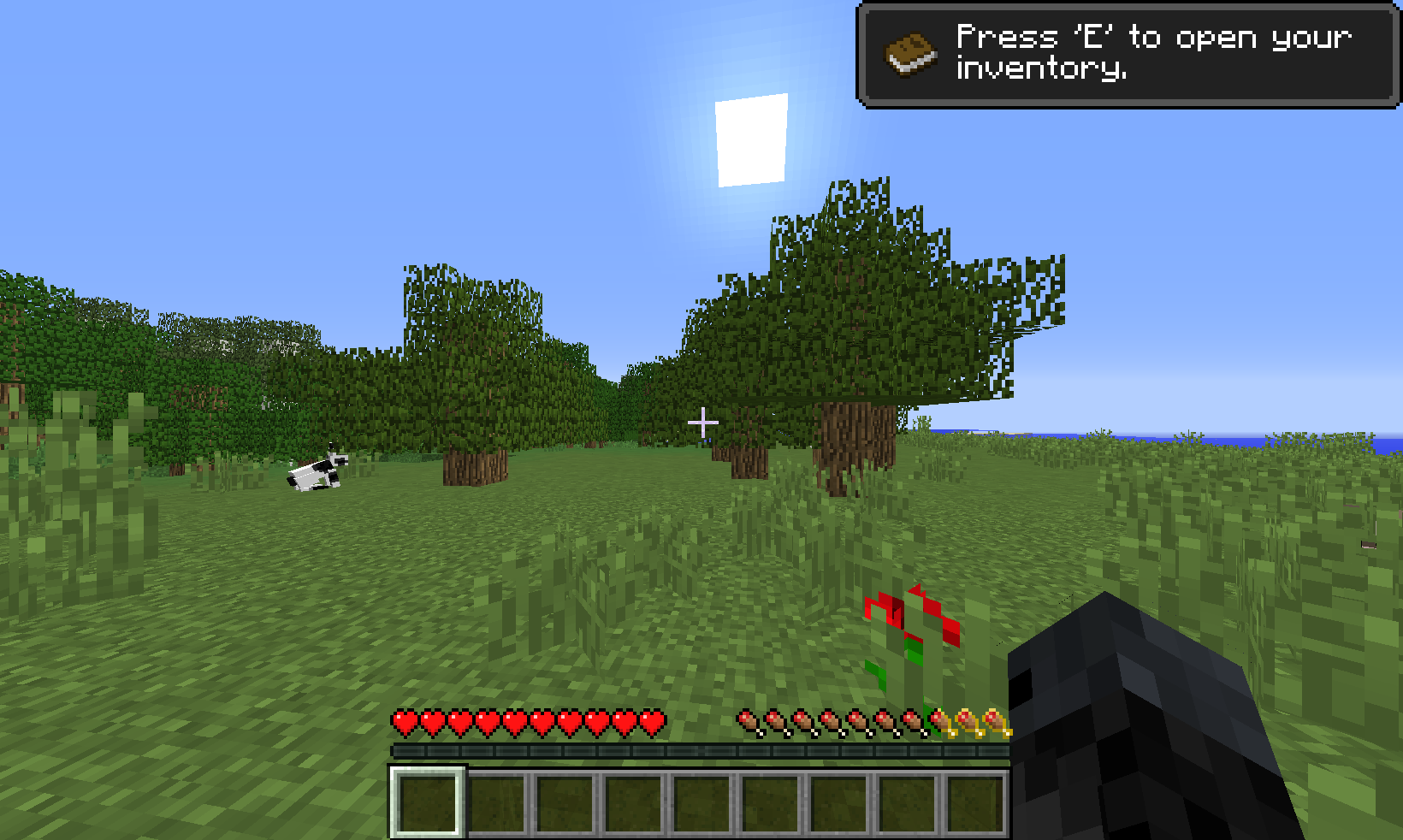 Minecraft Tutorial Test Object Detection Dataset by ananthv