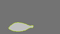 Annotation Visualization