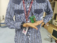 Dataset Image