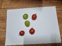 Dataset Image