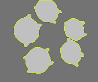 Annotation Visualization