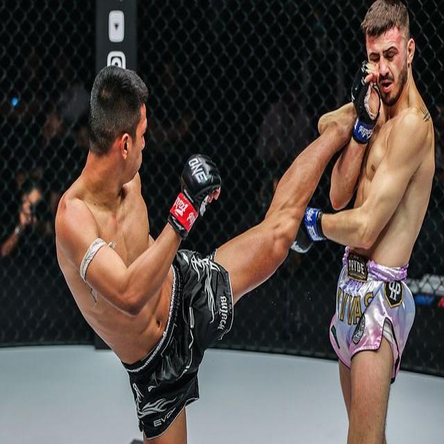 Punch and kick image classification Classification Dataset and Pre