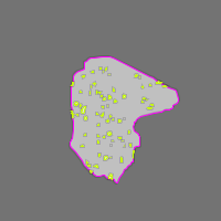 Annotation Visualization