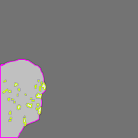 Annotation Visualization