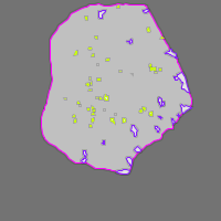 Annotation Visualization