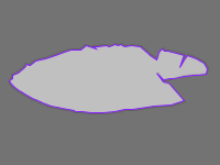 Annotation Visualization