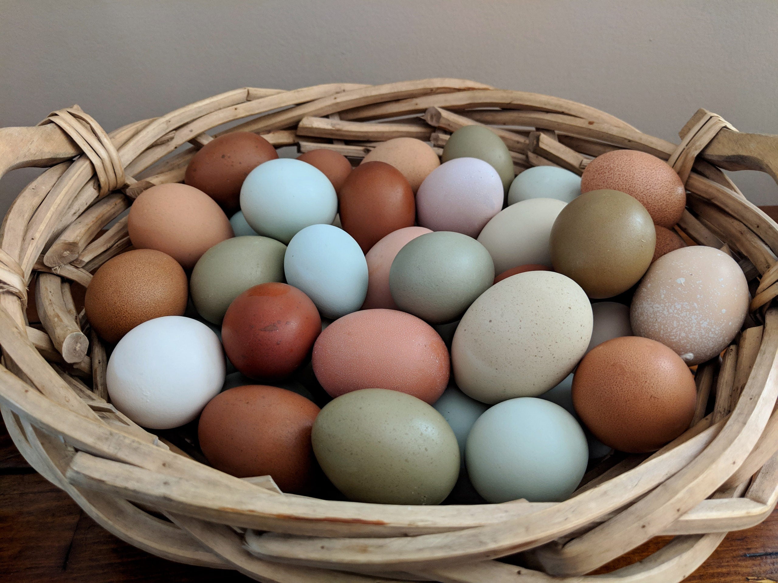 Egg Detection Final Dataset And Pre Trained Model By Egg Detection