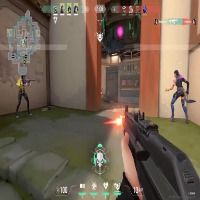 Dataset Image