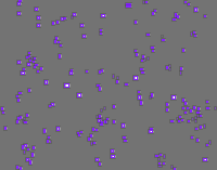 Annotation Visualization