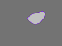 Annotation Visualization