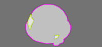 Annotation Visualization