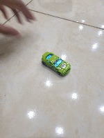 Dataset Image