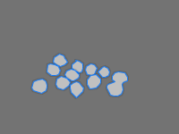 Annotation Visualization