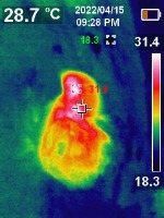 Dataset Image
