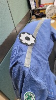 Dataset Image