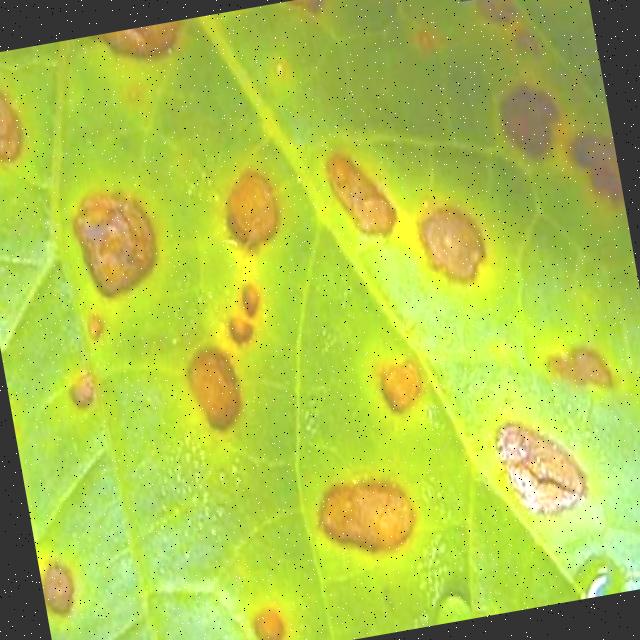 LettuceDisease2 Object Detection Dataset by CV lettuce disease