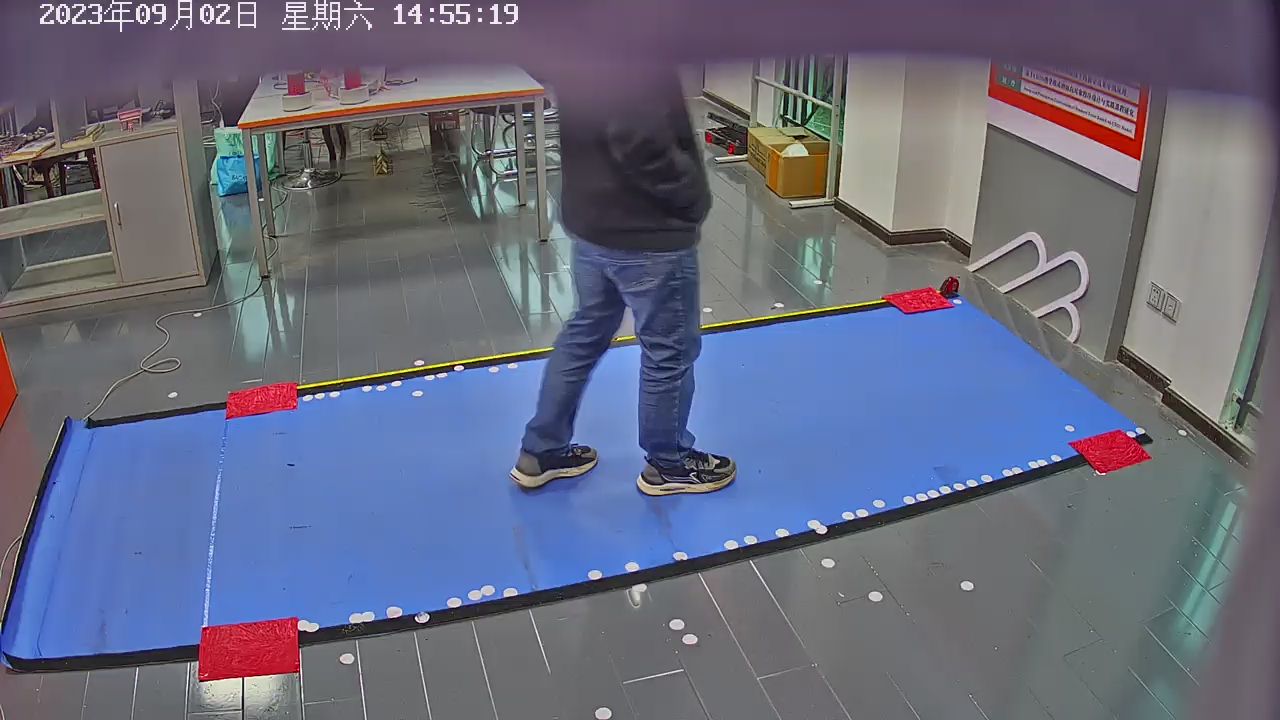 Left and right feet Object Detection Dataset by projecthhnpd