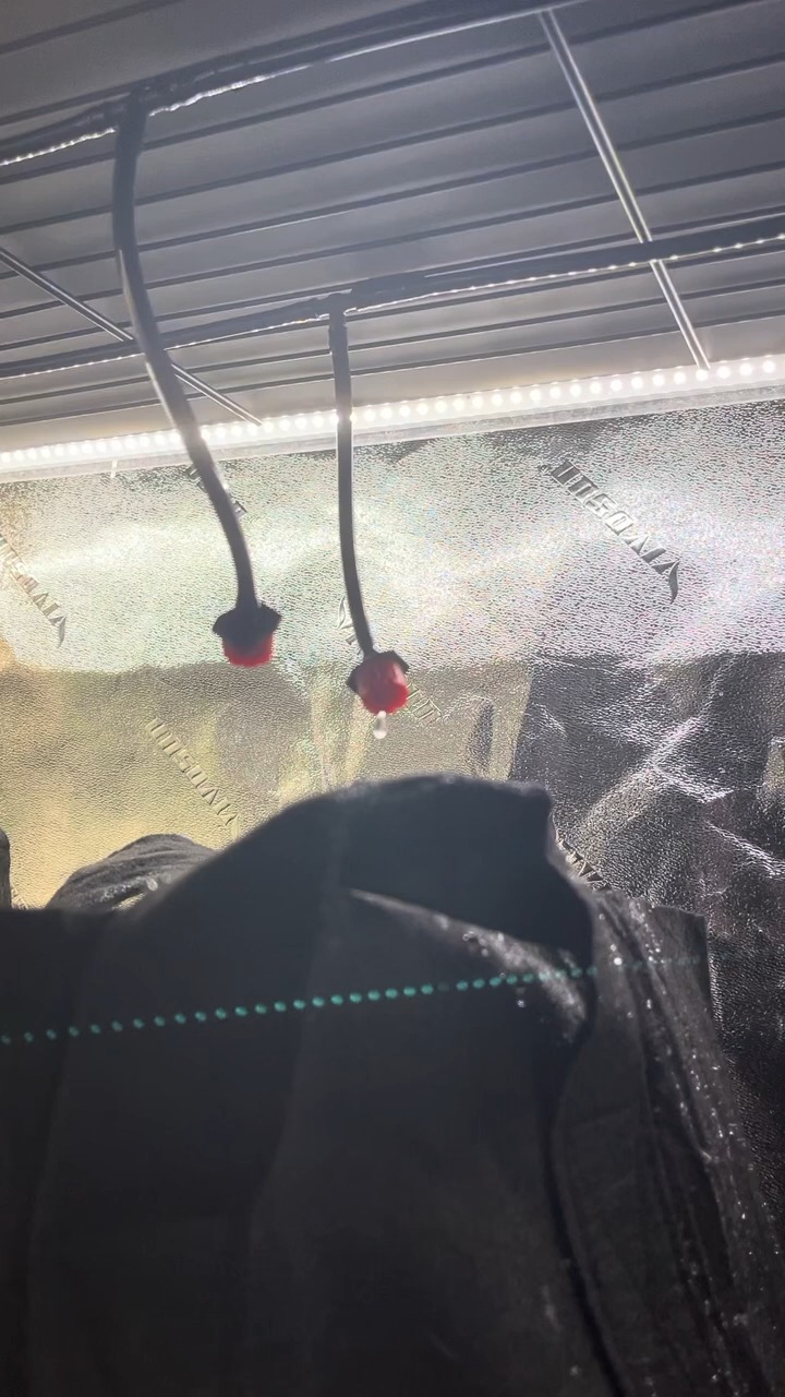 Irrigation Flow Rate Object Detection Dataset by MTSU