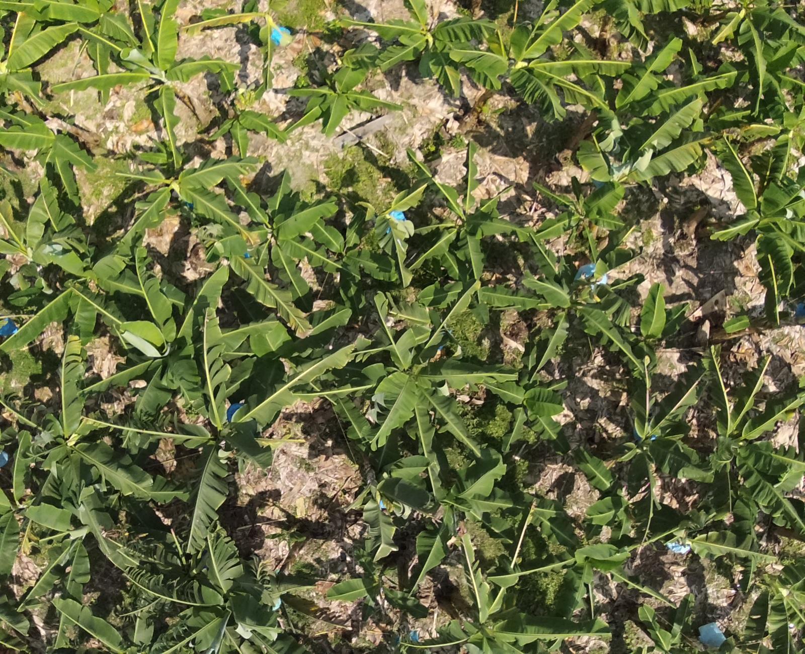 RGB Data1 Object Detection Dataset By Tesis RGB Data1 Object Detection Dataset By Tesis