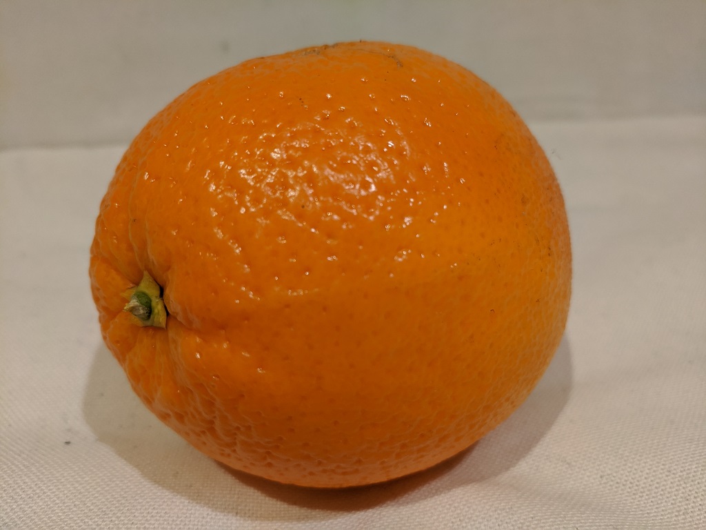 Fruit Detection Object Detection Dataset v1 2023 04 02 10 12am By KMUTT fruit-detection-object-detection-dataset-v1-2023-04-02-10-12am-by-kmutt
