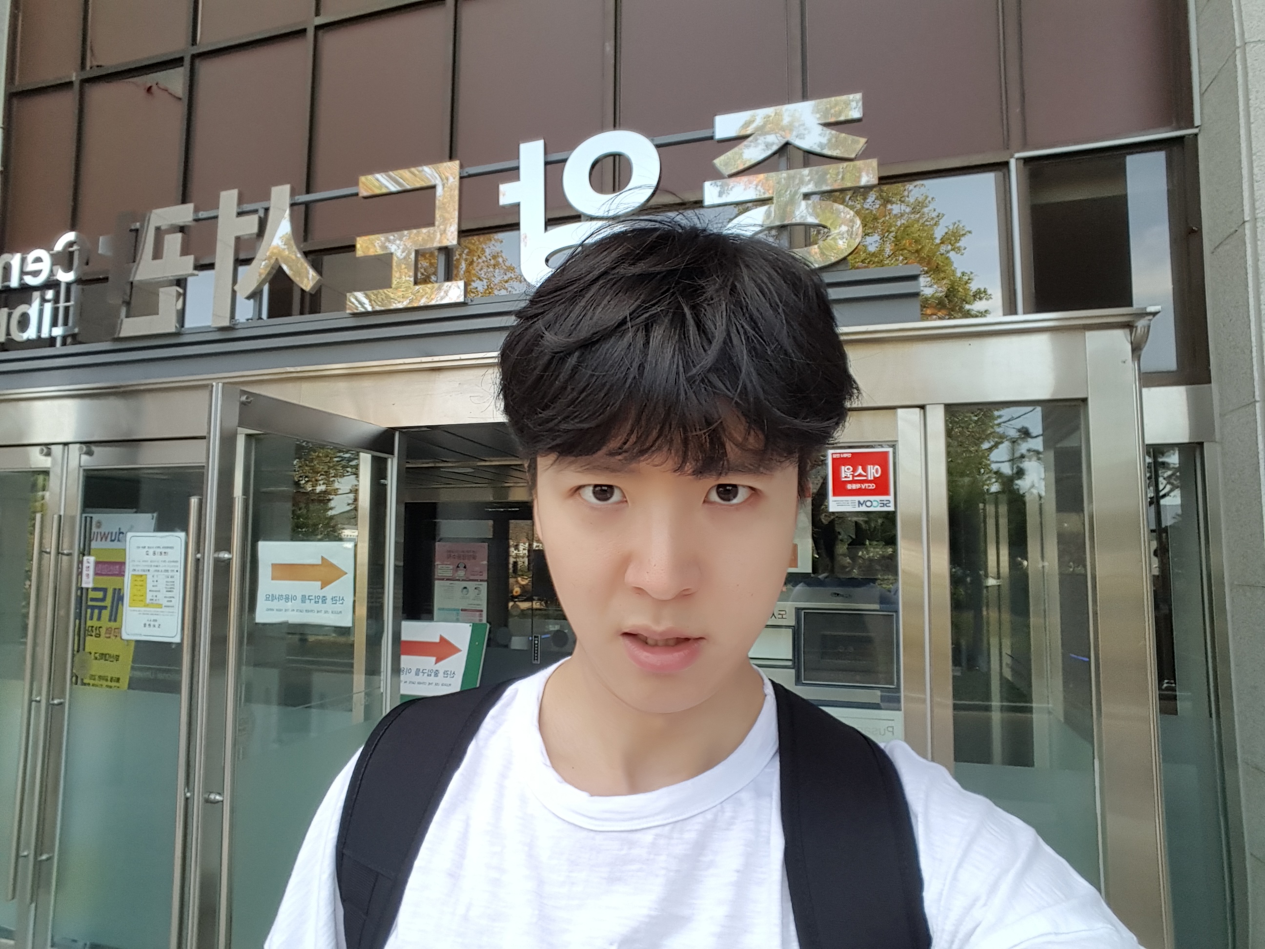 ViT Object Detection Dataset and Pre-Trained Model by Computer Vision