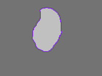 Annotation Visualization