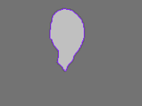 Annotation Visualization