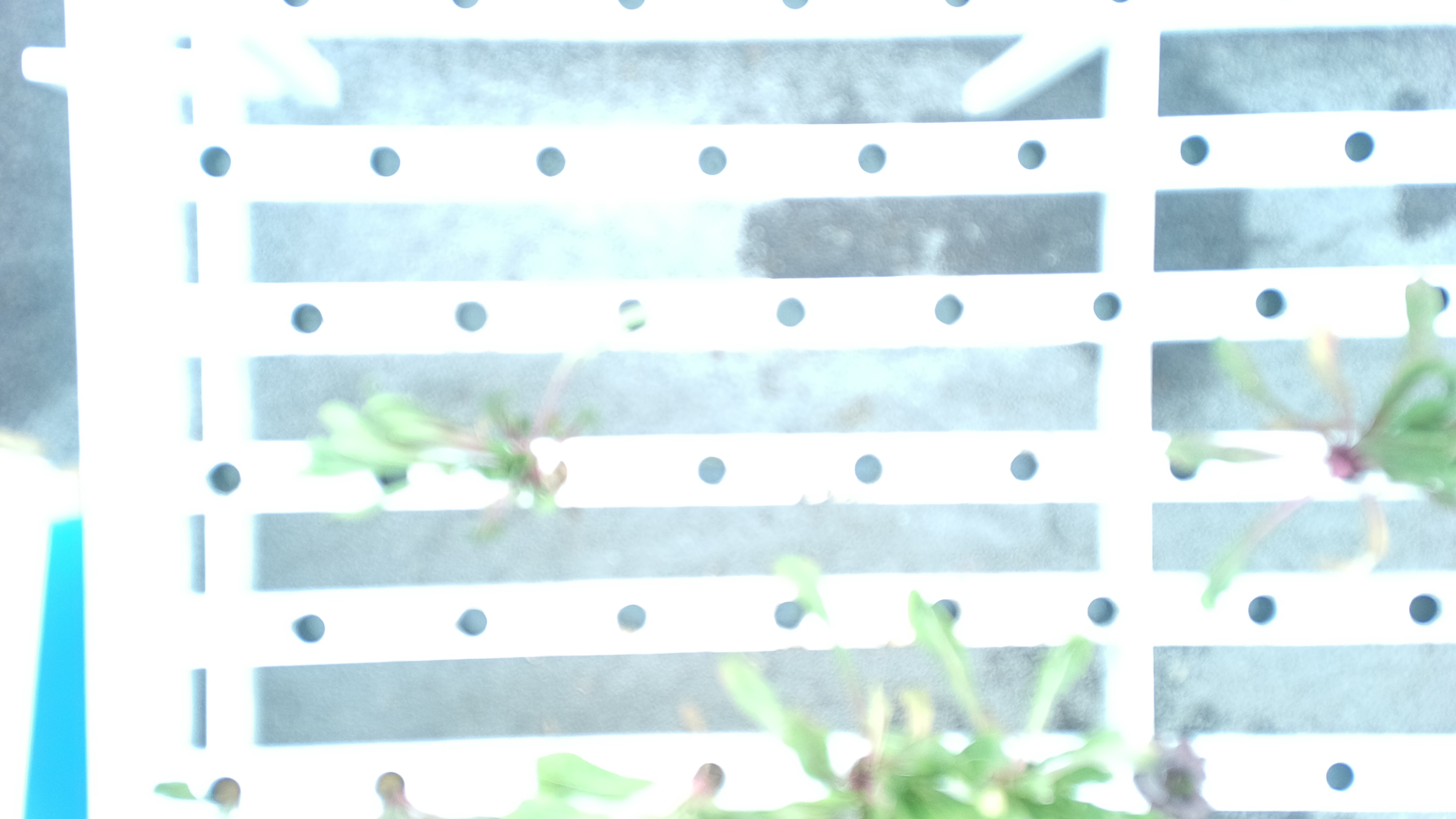 farm_house Object Detection Dataset and Pre-Trained Model by Soumya Prusty