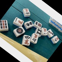 Dataset Image