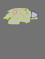 Annotation Visualization