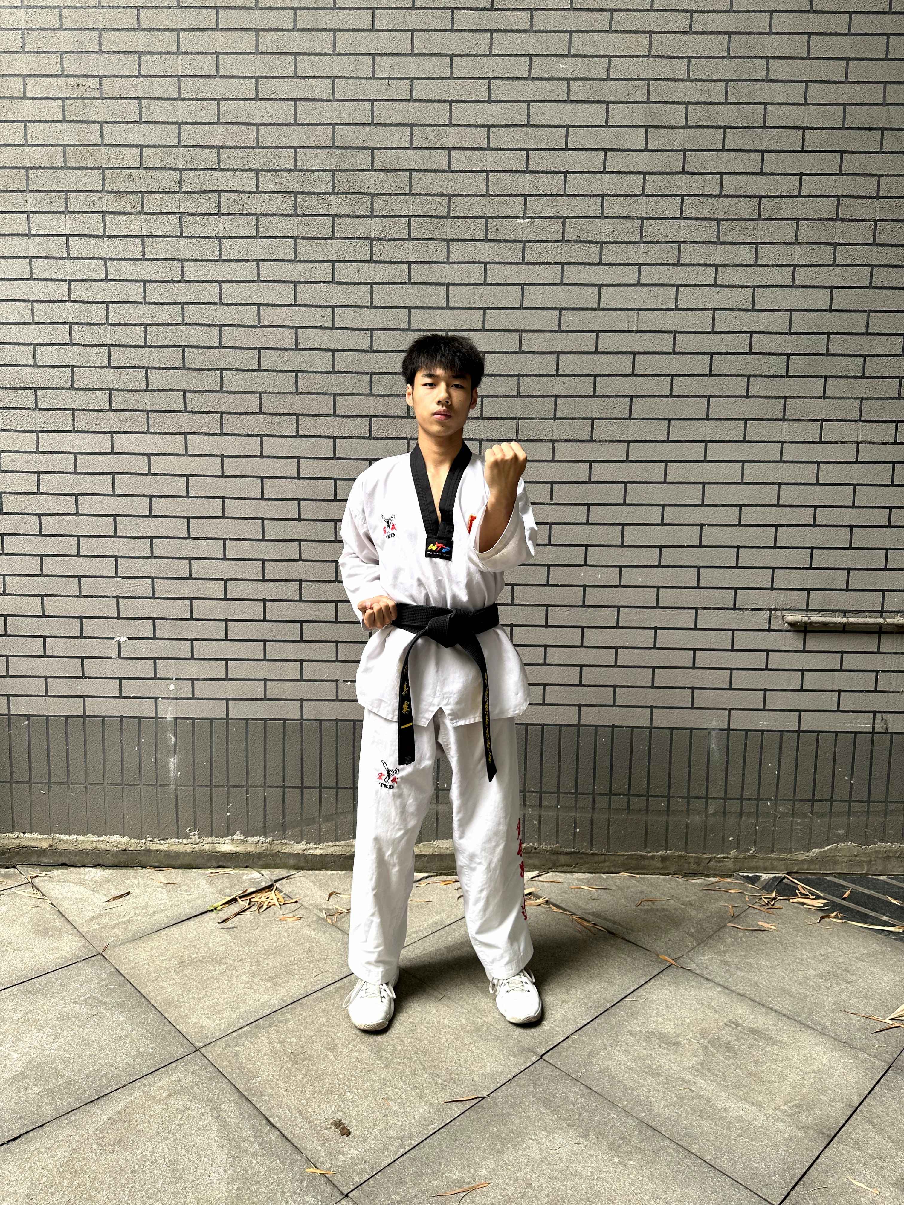 middle_block Object Detection Dataset by taekwondo