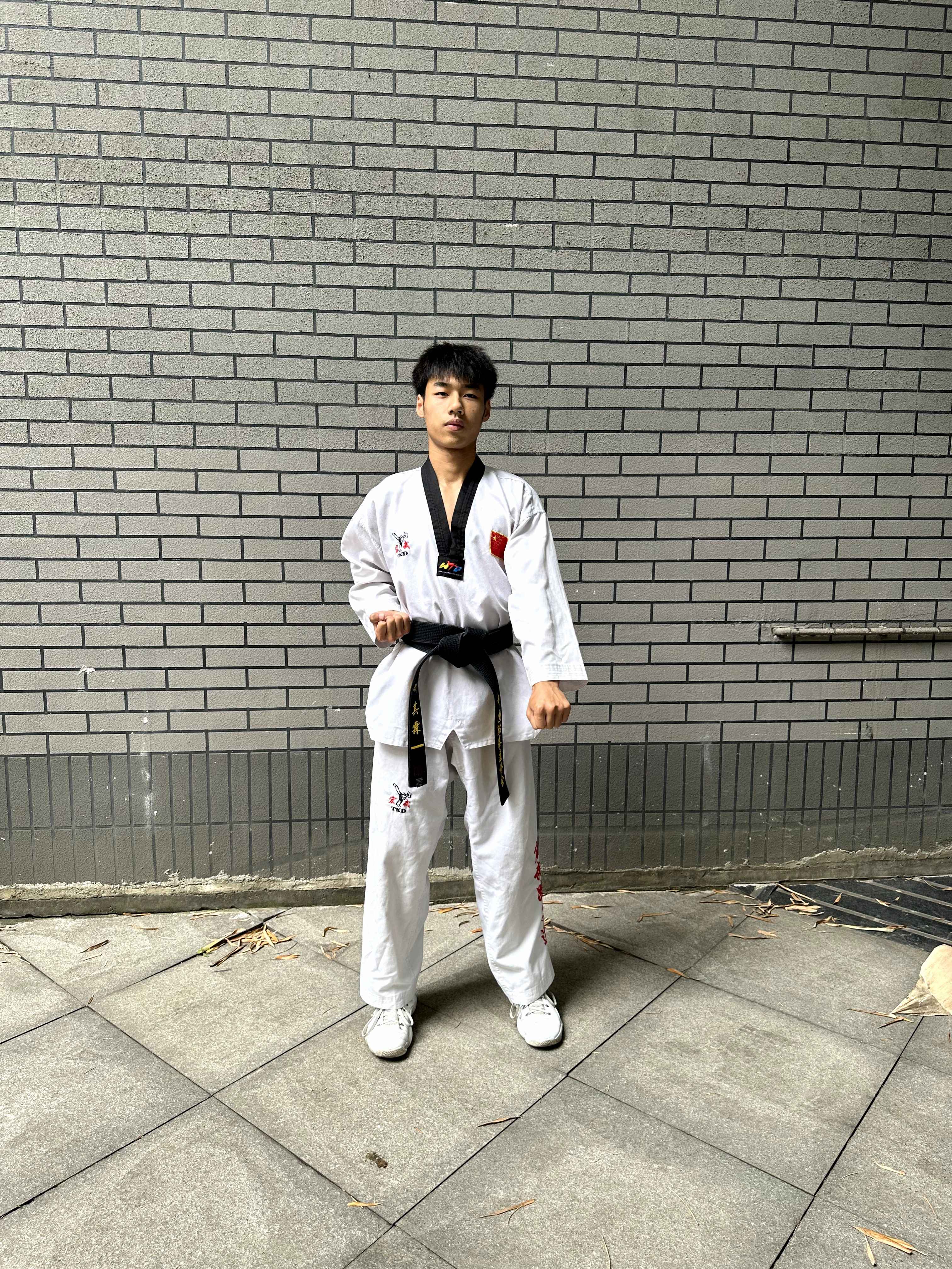 low_block Object Detection Dataset by taekwondo