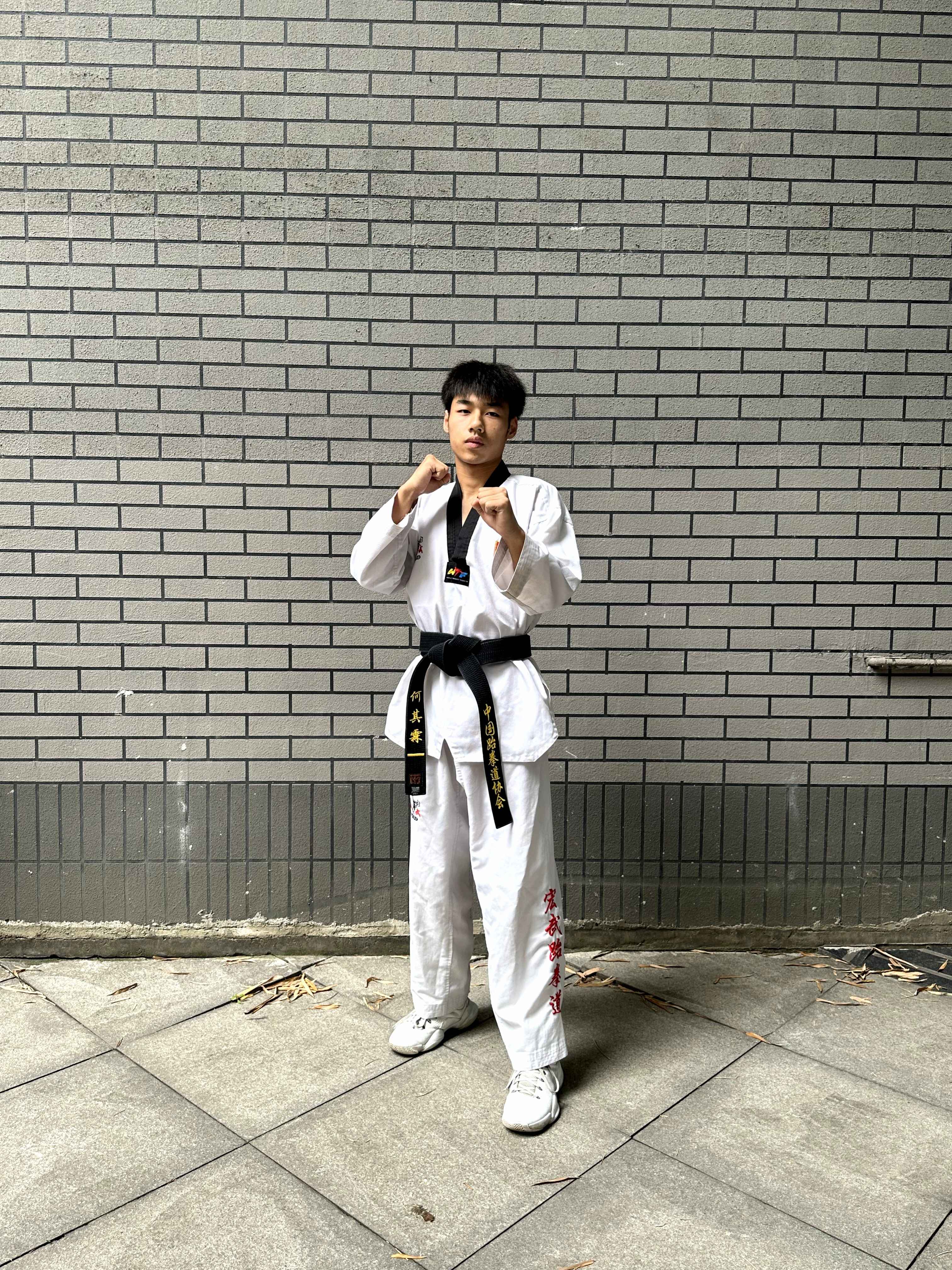 fighting_stance Object Detection Dataset by taekwondo