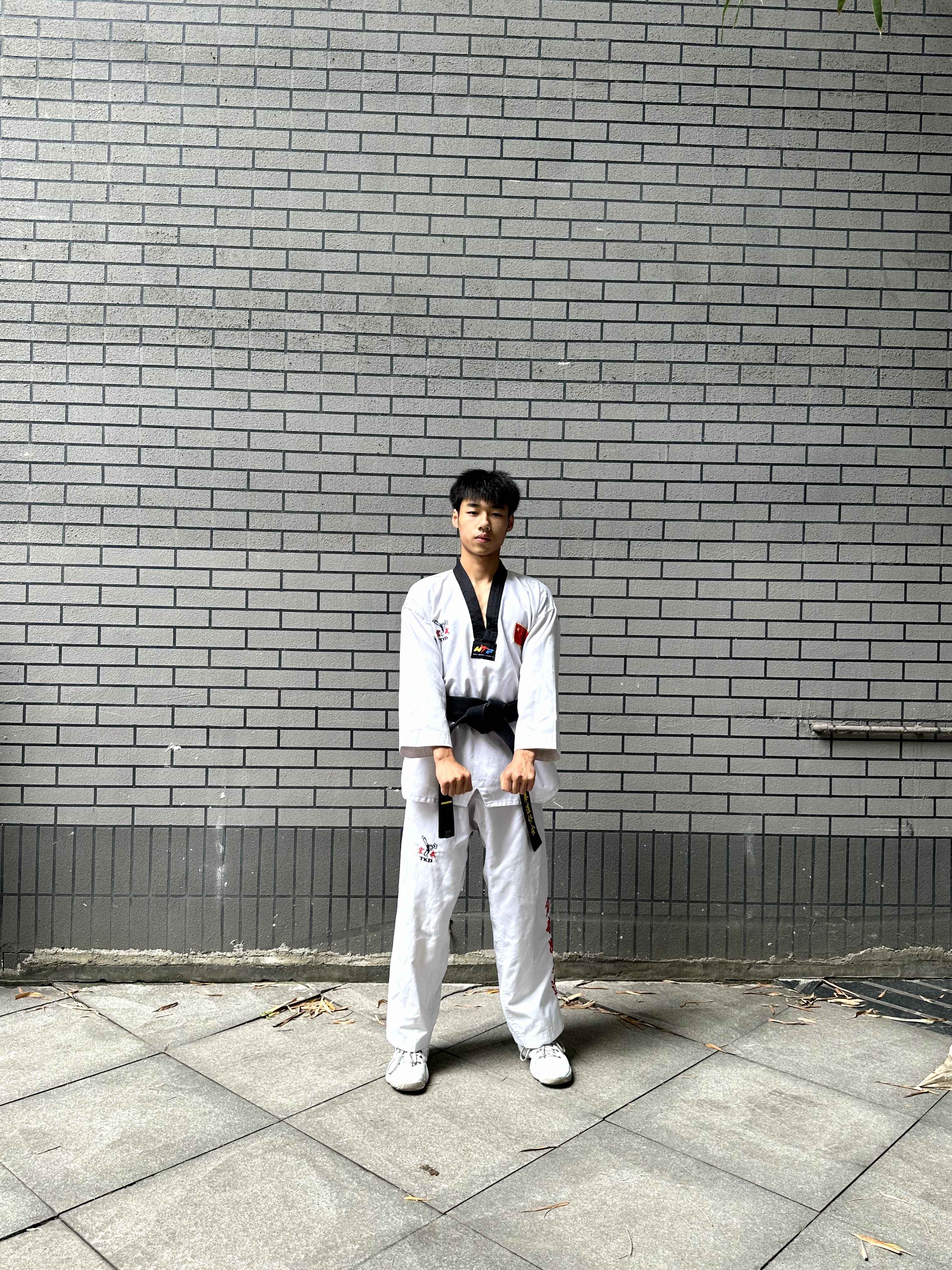 poomsae_stance Object Detection Dataset by taekwondo