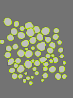 Annotation Visualization