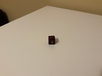 Dataset Image