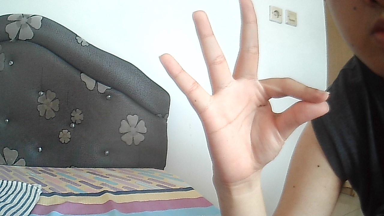 Hand Sign Recognition Object Detection Dataset by Sign