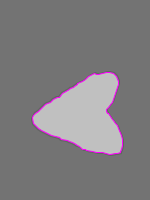 Annotation Visualization