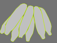 Annotation Visualization