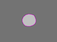 Annotation Visualization