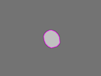 Annotation Visualization