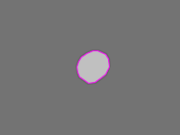 Annotation Visualization