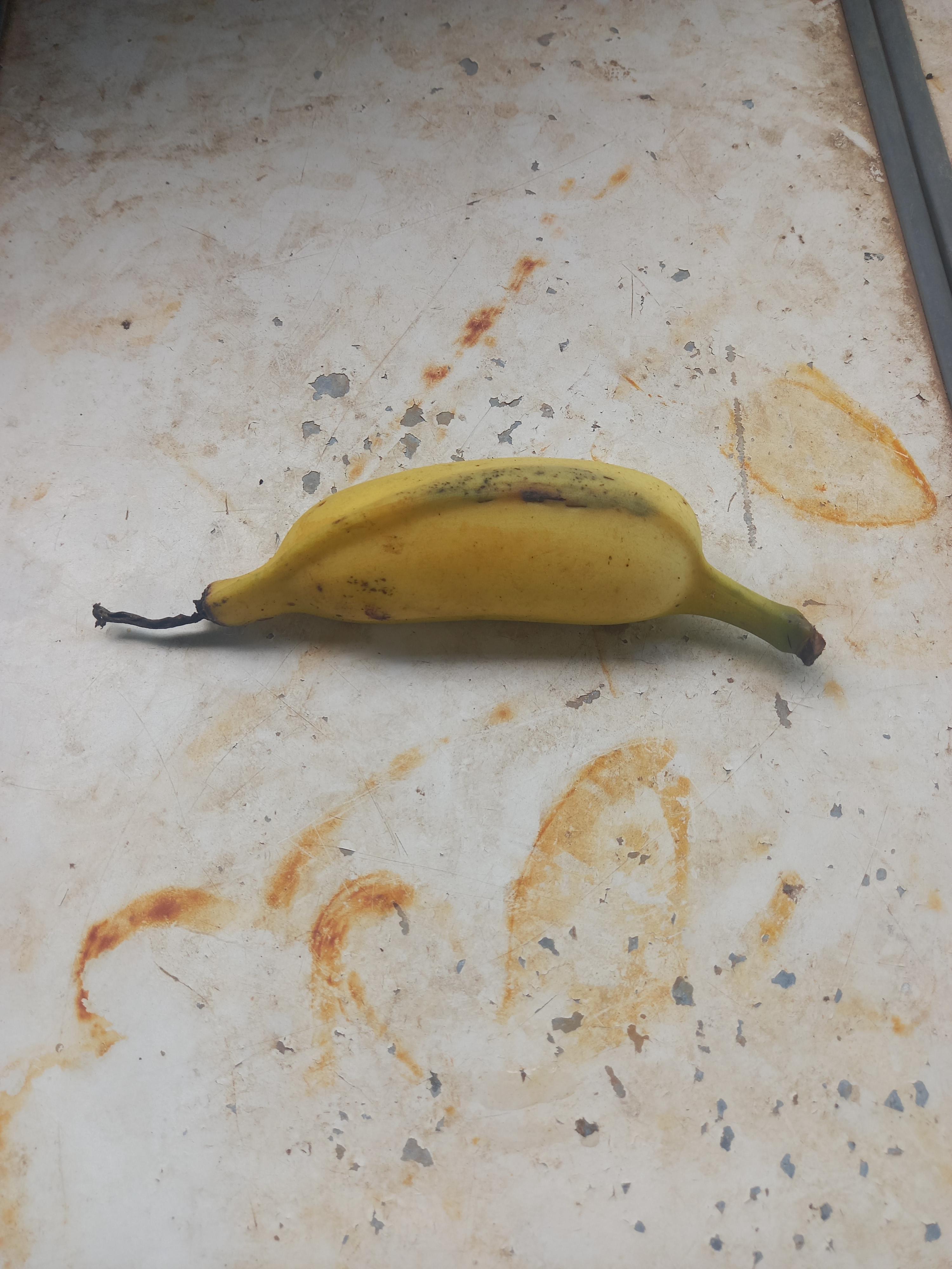 banana type Object Detection Dataset and PreTrained Model by campus