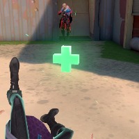 Dataset Image