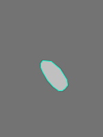 Annotation Visualization